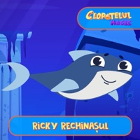 Ricky Rechinasul