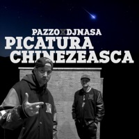 Picătura Chinezească - Single - Pazzo & DJ Nasa