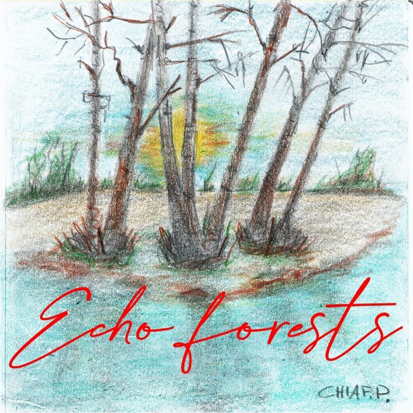 Echo forests
