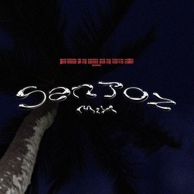 SANTOZ MIX - Single