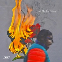 In the Beginning - Gun Lee