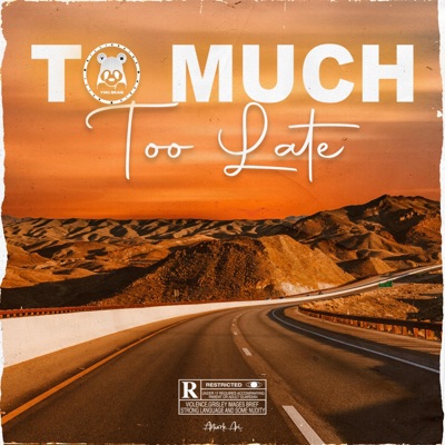 To Much Too Late - Single