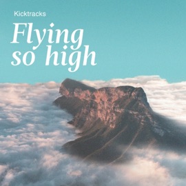 Flying so High Kicktracks