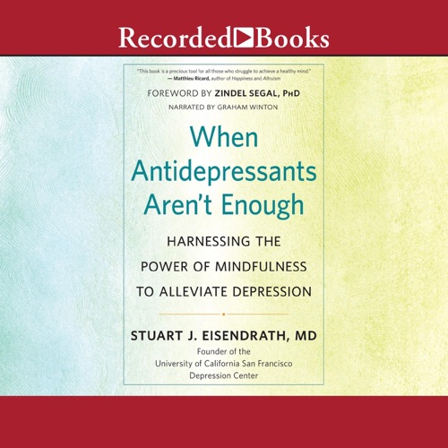 When Antidepressants Aren't Enough : Harnessing the Power of Mindfulness to Alleviate Depression cover