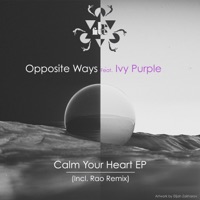 Calm Your Heart - Single - Opposite Ways