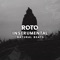 Roto - Natural Beats lyrics
