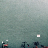 what 4 - Single - LIU KOI