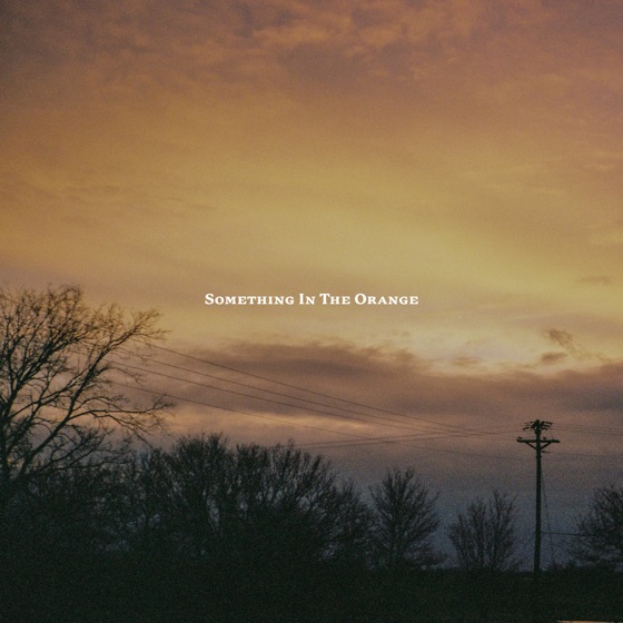 Cover artwork for Something in the Orange