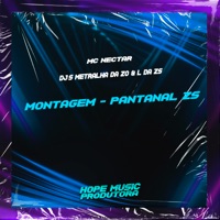 Montagem - Pantanal Zs - Single - Mc Nectar, DJ METRALHA DA ZO & DJ L DA ZS