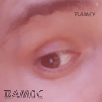 Вамос - Single - Flamey