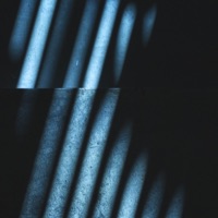 Fractal 73 - Single - Blumerle