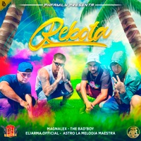 Rebota - Single - Astro la Melodia Maestra, The Bad´boy, Eliarma.Official & Magnalex