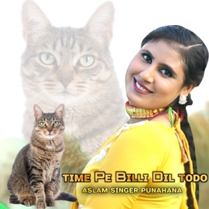 Time Pe Billi Dil Todo (feat. Aslam Singer Mewati)