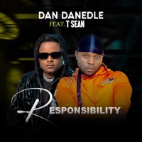 Responsibility (feat. T-sean) - Single - Dan Danedle