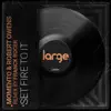 Set Fire To It (Franck Roger Dub)