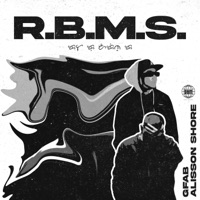 R.B.M.S. (feat. Alisson Shore) - Single - Gfab