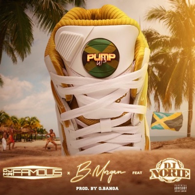 Pump Up (feat. B.Morgan & DJ Norie) - Single