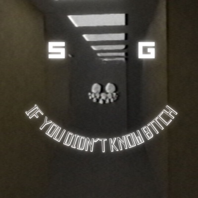 If You Didn't Know B1tch - Single