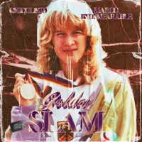 Golden Slam - Single - Chicolisto