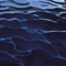 Organic Soup - FRANK LEONE & Casini lyrics
