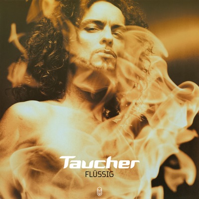 Flüssig (Soul Mix) cover art