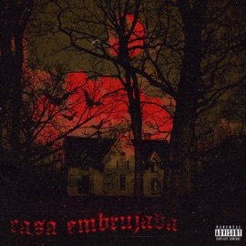 Nube (feat. zav11) Lil Novax