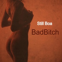 BadBitch (Shake Bounce) - Single - Still Boa