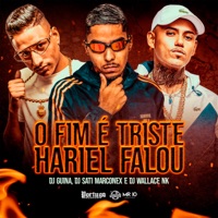 O Fim É Triste Hariel Falou - Single - DJ Guina, Dj Sati Marconex & DJ Wallace NK