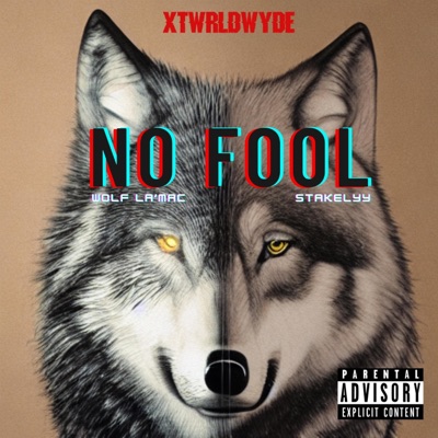 No Fool (feat. Stakelyy & xosloth) - Single