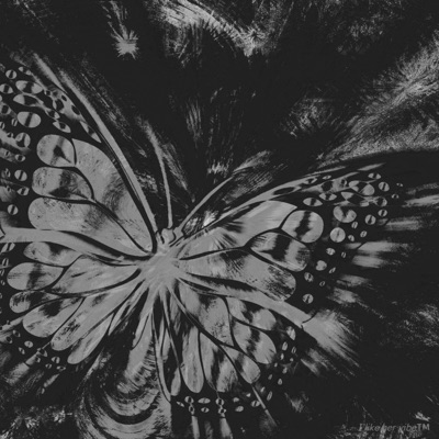 butterflies. (feat. Reckmond, Egmoolah & I like her vibe) - Single
