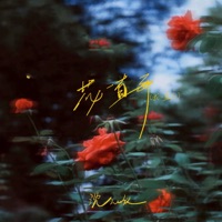花一直开 (我一直在) - Single - 沈心仪