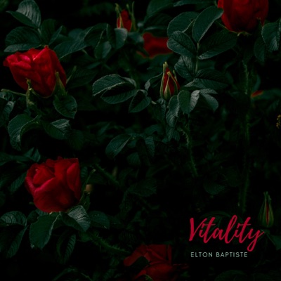 Vitality - Single
