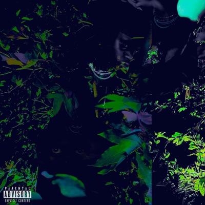 I Can't Believe You! - Single