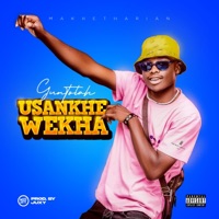 Usankhe Wekha - Single - Guntolah