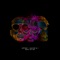 Best of Me (Radio Edit) - ARTBAT & Sailor & I lyrics