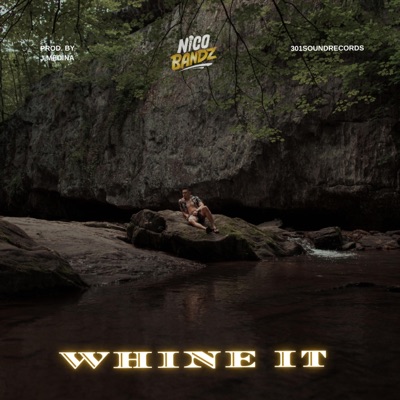 Whine It - Single