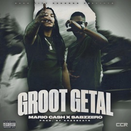 Groot Getal Mario Cash & Sabzzeroo