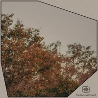 Delhi Dollars - Single - J Fletch & The Retune Project