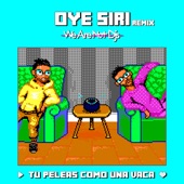Oye Siri (We Are Not Dj's Remix) artwork