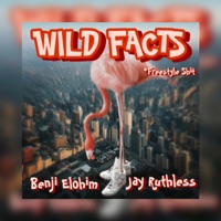 Wild Facts (feat. Jay Ruthless) - Single - Benji Elohim