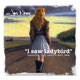 I Saw Ladybird feat TFDI Tony Lucca Matt Duke Val McCallum Single