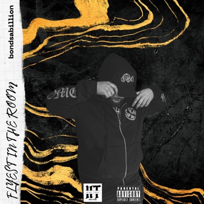 Flyest In the Room - Single