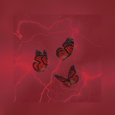 1 2 5 - Single