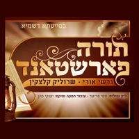 תורה פארשטאנד (feat. Gershi Uri & שרוליק קלצקין) - Single - YOSSI FRIED