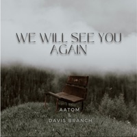 We Will See You Again - Single - Davis Branch & Aatom