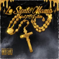 LO SIENTO MAMA (feat. El Father) - Single - nofeel.