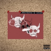 Whatever's Next - Thatguyeli