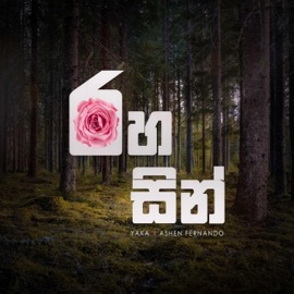 Rahasin (feat. Ashen Fernando) YAKA