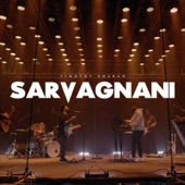 Sarvagnani artwork
