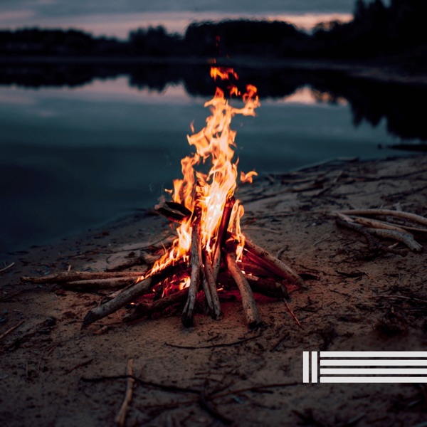 Campfire & Birds